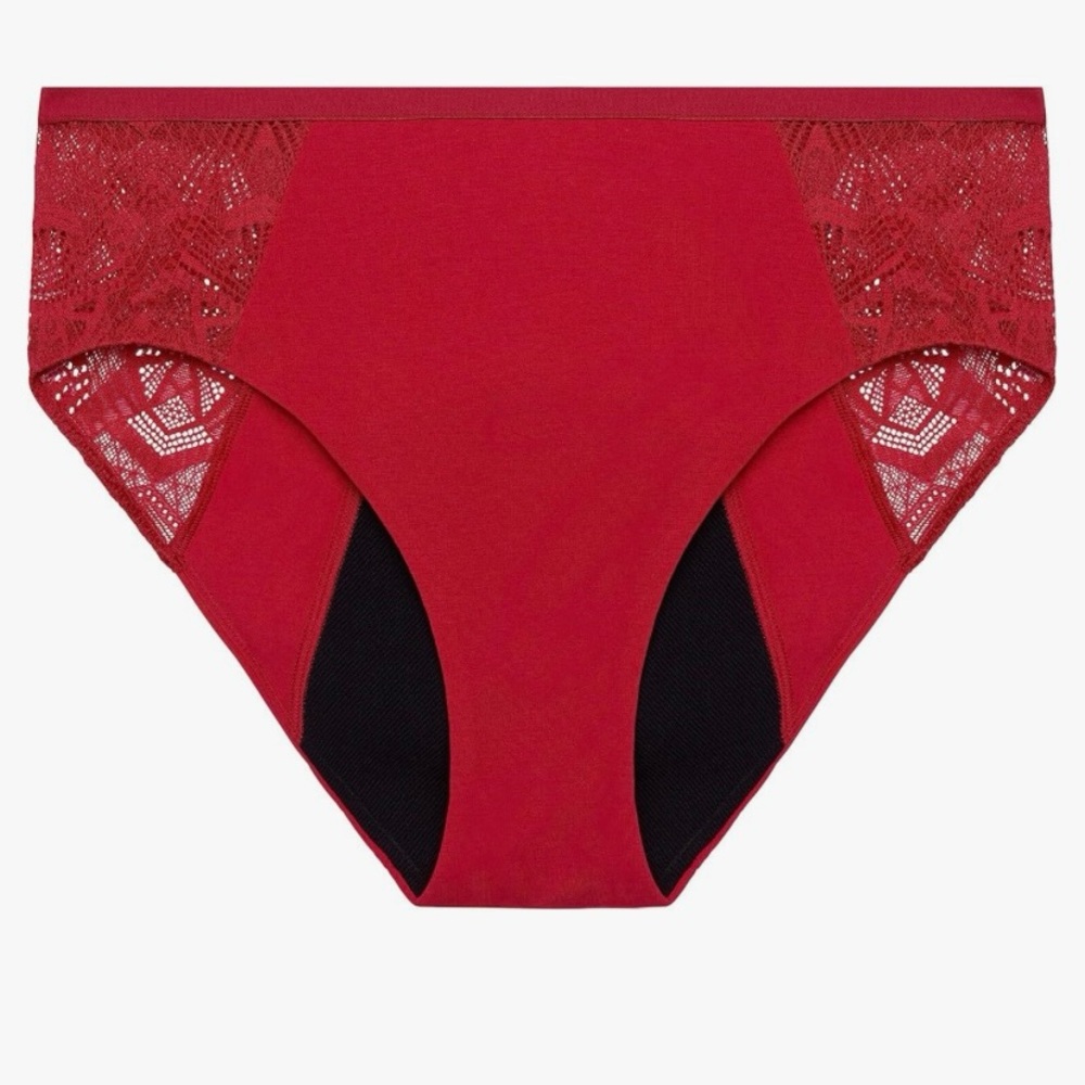 NWT Thinx Period Panty Brief